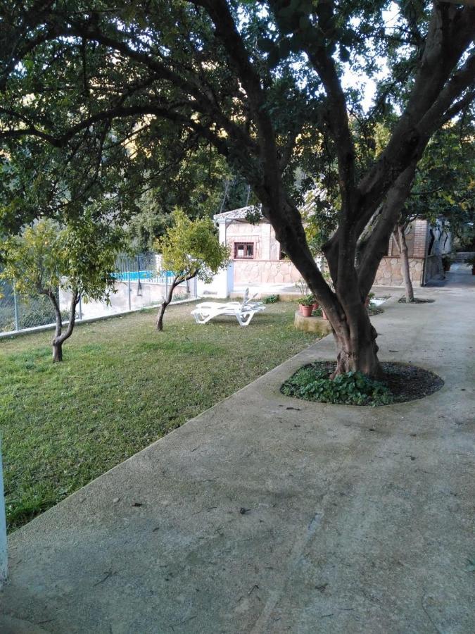 Hostal La Fuente De El Nacimiento Benamahoma Exterior foto