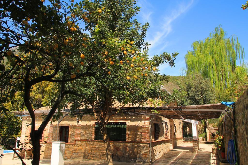 Hostal La Fuente De El Nacimiento Benamahoma Exterior foto