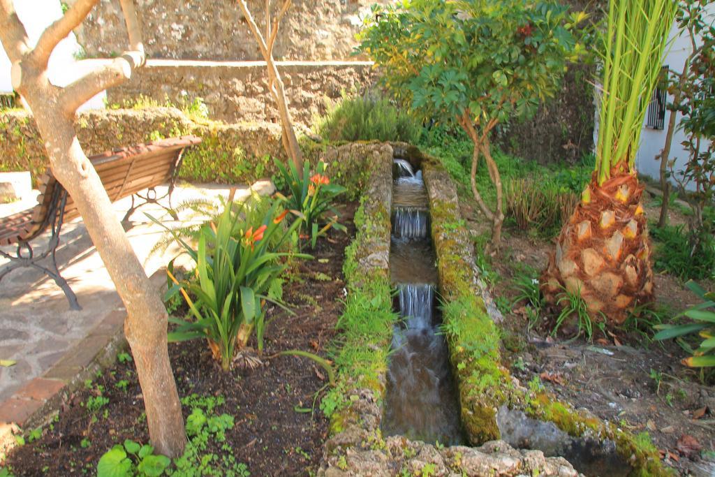 Hostal La Fuente De El Nacimiento Benamahoma Exterior foto